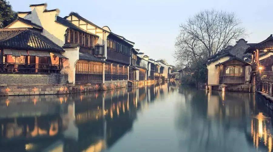 动物帮帮忙保卫家园